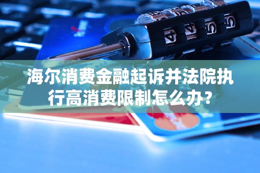 并法院执行高消费限制怎么办？凯发K8国际海尔消费金融起诉(图1)
