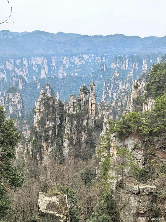 价5日正规旅行社靠谱价格速看！k8凯发国际登录张家界旅游团报(图2)